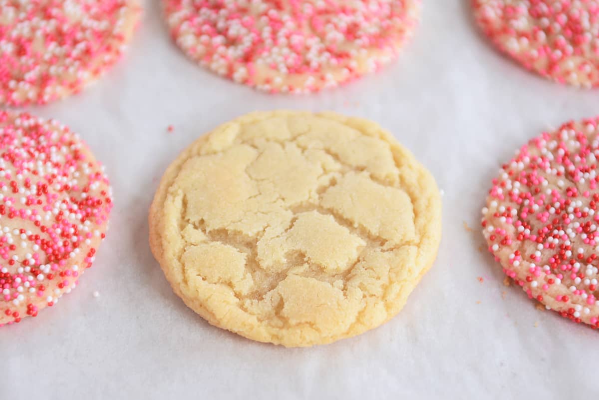 easy sugar cookie recipe