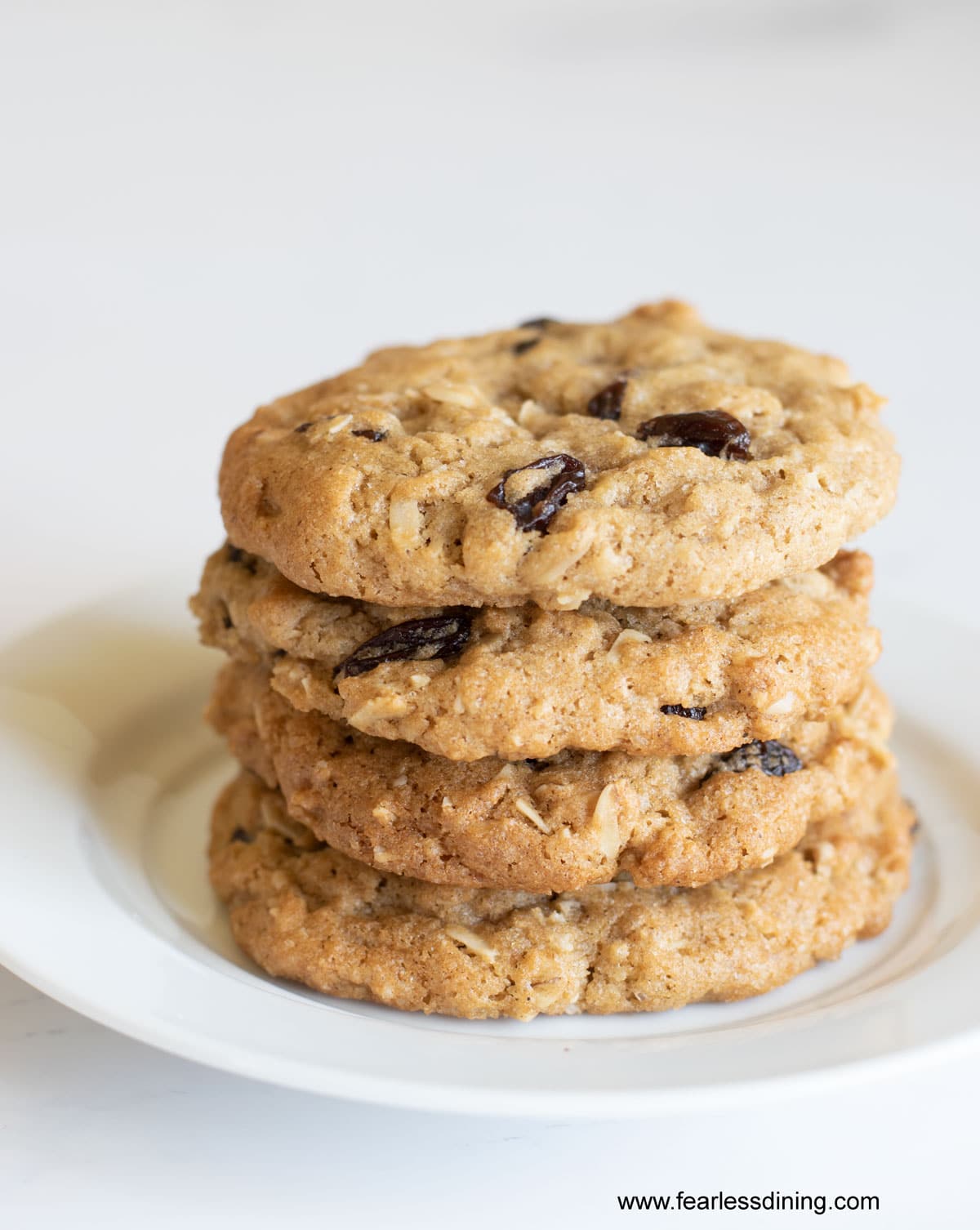 Delicious Oatmeal Raisin Cookies: Gluten-Free and Vegan Delights
