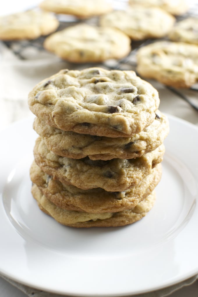 Mastering the Art of Homemade Cookies: From Classic Chocolate Chip to Creative Creations