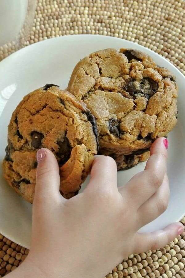 giant chocolate chip cookie